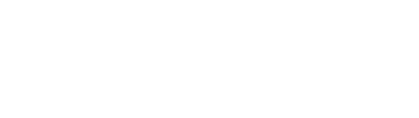 logo finflix blanco
